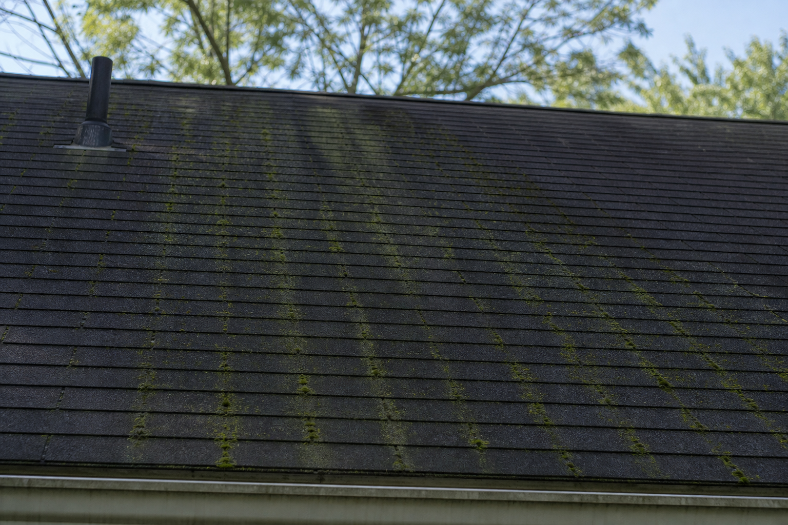 Black and green algae streaks on roof shingles