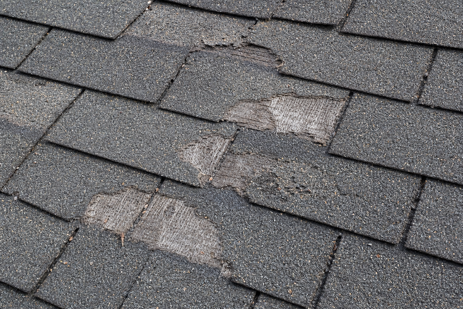 Asphalt shingles with granule loss and bare spots