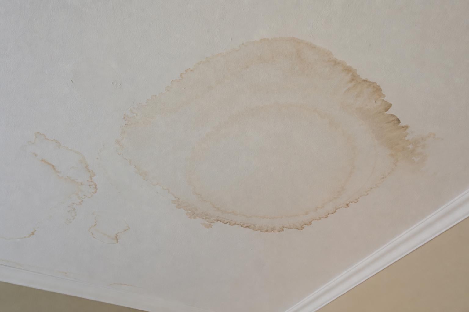 Water stain on interior ceiling from a roof leak
